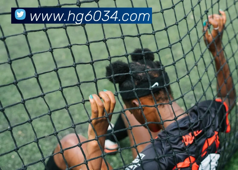 皇冠体育网站入口发展历程